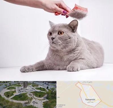 آرایشگاه گربه در ورامین