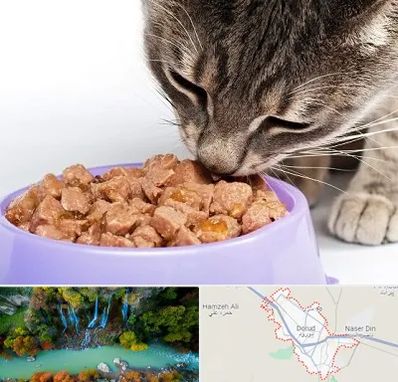فروشگاه غذای گربه در دورود