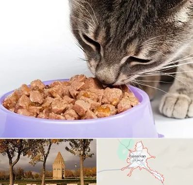 فروشگاه غذای گربه در تویسرکان
