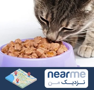 فروشگاه غذای گربه در نزدیک من