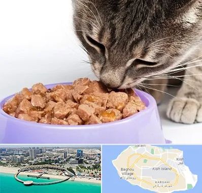 فروشگاه غذای گربه در کیش
