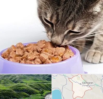 فروشگاه غذای گربه در گچساران