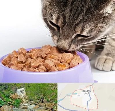 فروشگاه غذای گربه در کردان