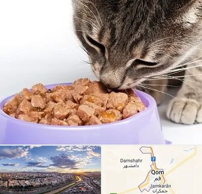 فروشگاه غذای گربه در قم