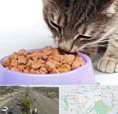 فروشگاه غذای گربه در منطقه 17 تهران