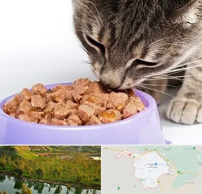 فروشگاه غذای گربه در بهبهان