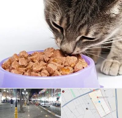 فروشگاه غذای گربه در باغ فیض اسلامشهر
