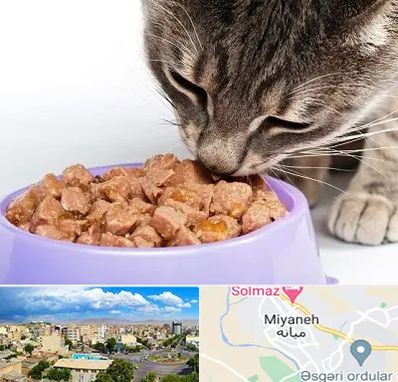 فروشگاه غذای گربه در میانه