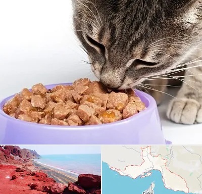 فروشگاه غذای گربه در هرمزگان