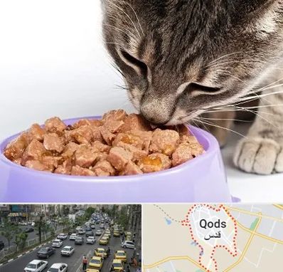 فروشگاه غذای گربه در شهر قدس