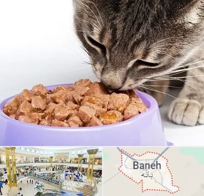 فروشگاه غذای گربه در بانه