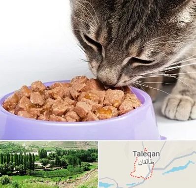 فروشگاه غذای گربه در طالقان