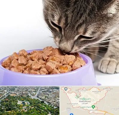 فروشگاه غذای گربه در شهرکرد