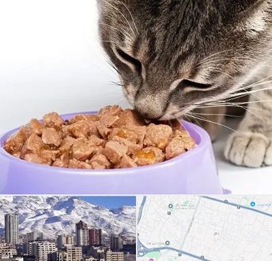 فروشگاه غذای گربه در ازگل