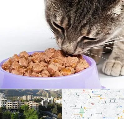فروشگاه غذای گربه در دیباجی