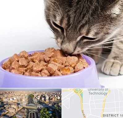 فروشگاه غذای گربه در استاد معین 