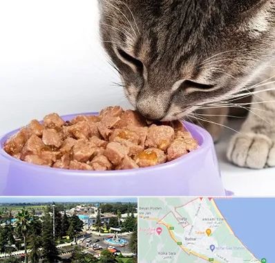 فروشگاه غذای گربه در رودسر