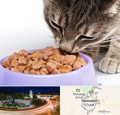 فروشگاه غذای گربه در همدان
