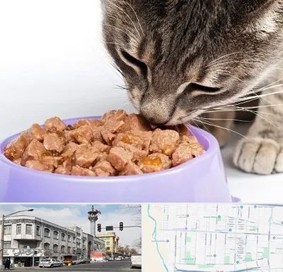 فروشگاه غذای گربه در 17شهریور