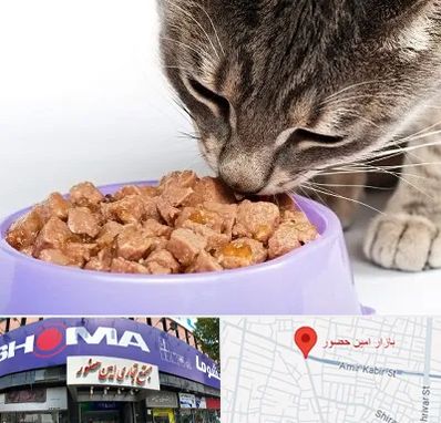 فروشگاه غذای گربه در امین حضور