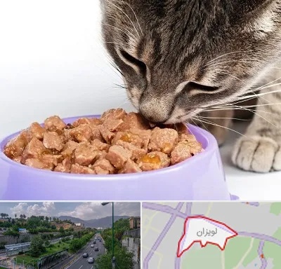 فروشگاه غذای گربه در لویزان