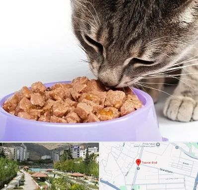 فروشگاه غذای گربه در بلوار تعاون