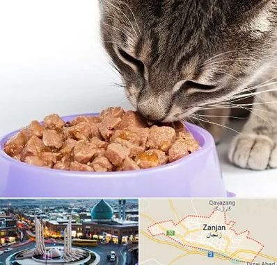 فروشگاه غذای گربه در زنجان
