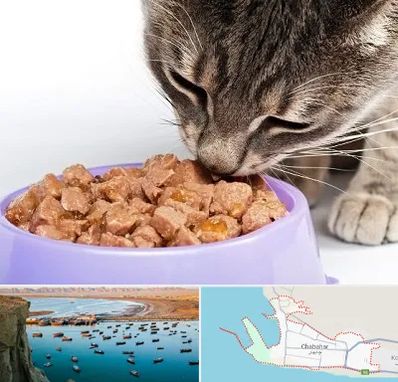 فروشگاه غذای گربه در چابهار