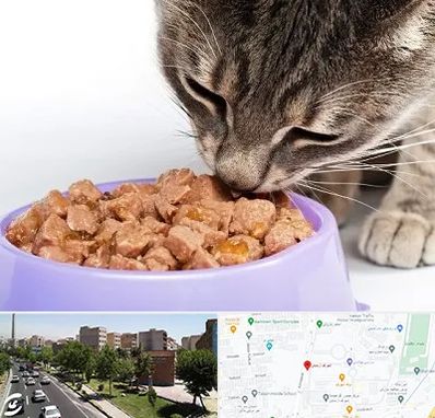 فروشگاه غذای گربه در شهرک آزمایش