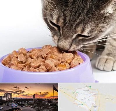 فروشگاه غذای گربه در قوچان