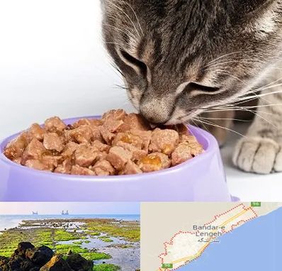 فروشگاه غذای گربه در بندرلنگه