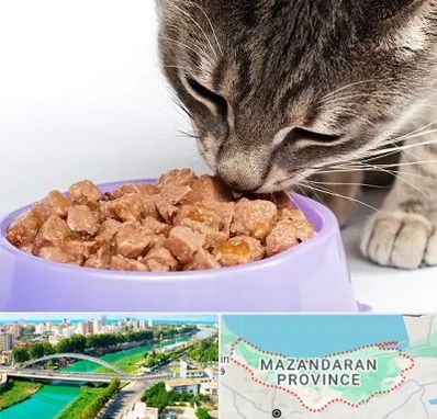 فروشگاه غذای گربه در مازندران