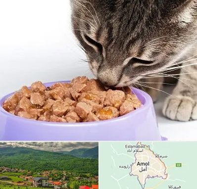 فروشگاه غذای گربه در آمل