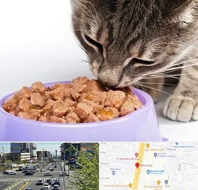 فروشگاه غذای گربه در ستاری