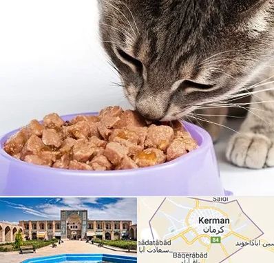 فروشگاه غذای گربه در کرمان