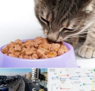 فروشگاه غذای گربه در پیروزی