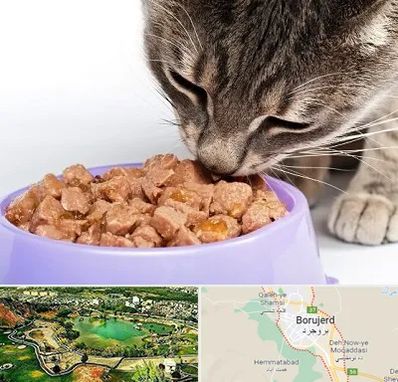 فروشگاه غذای گربه در بروجرد