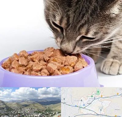 فروشگاه غذای گربه در رودهن