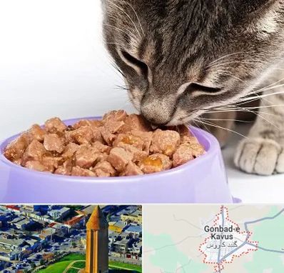 فروشگاه غذای گربه در گنبد کاووس