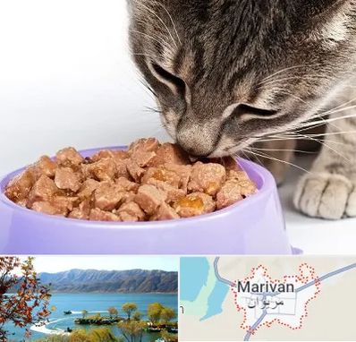 فروشگاه غذای گربه در مریوان