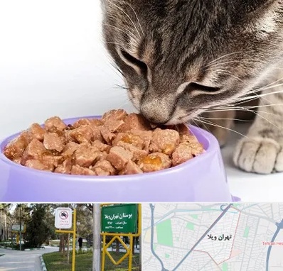فروشگاه غذای گربه در تهران ویلا
