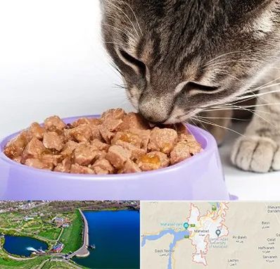 فروشگاه غذای گربه در مهاباد