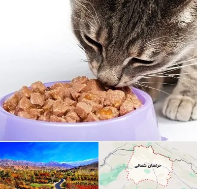 فروشگاه غذای گربه در خراسان شمالی