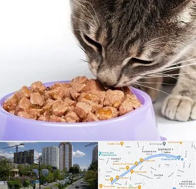 فروشگاه غذای گربه در اندرزگو