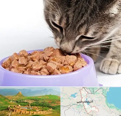 فروشگاه غذای گربه در آذربایجان غربی