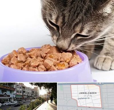 فروشگاه غذای گربه در خیابان جمالزاده