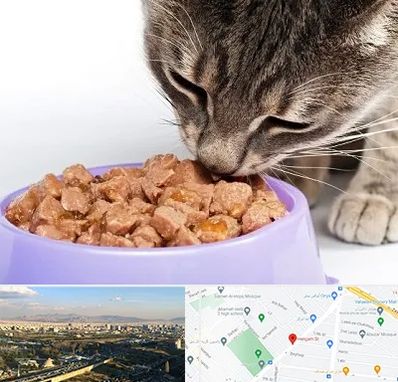 فروشگاه غذای گربه در هنگام