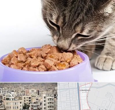فروشگاه غذای گربه در اسکندری