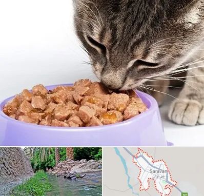 فروشگاه غذای گربه در سراوان