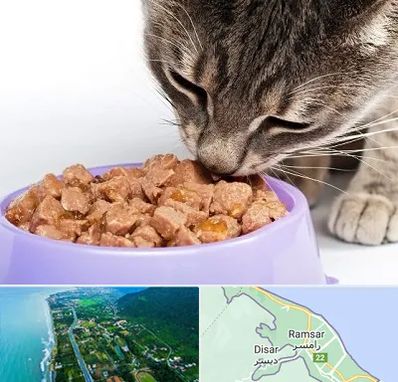 فروشگاه غذای گربه در رامسر